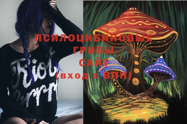 винт Краснослободск