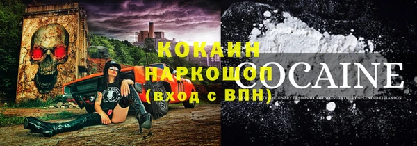 винт Краснослободск