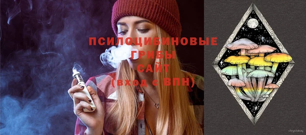 винт Краснослободск