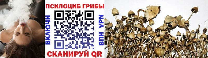 Купить закладки  Сольцы  Галлюциногенные грибы Psilocybine cubensis 